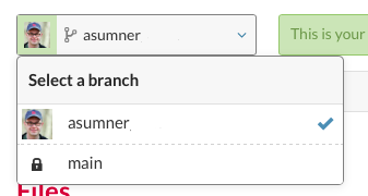 Branch selector drop-down menu