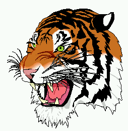 An image of a cartoonish tiger head